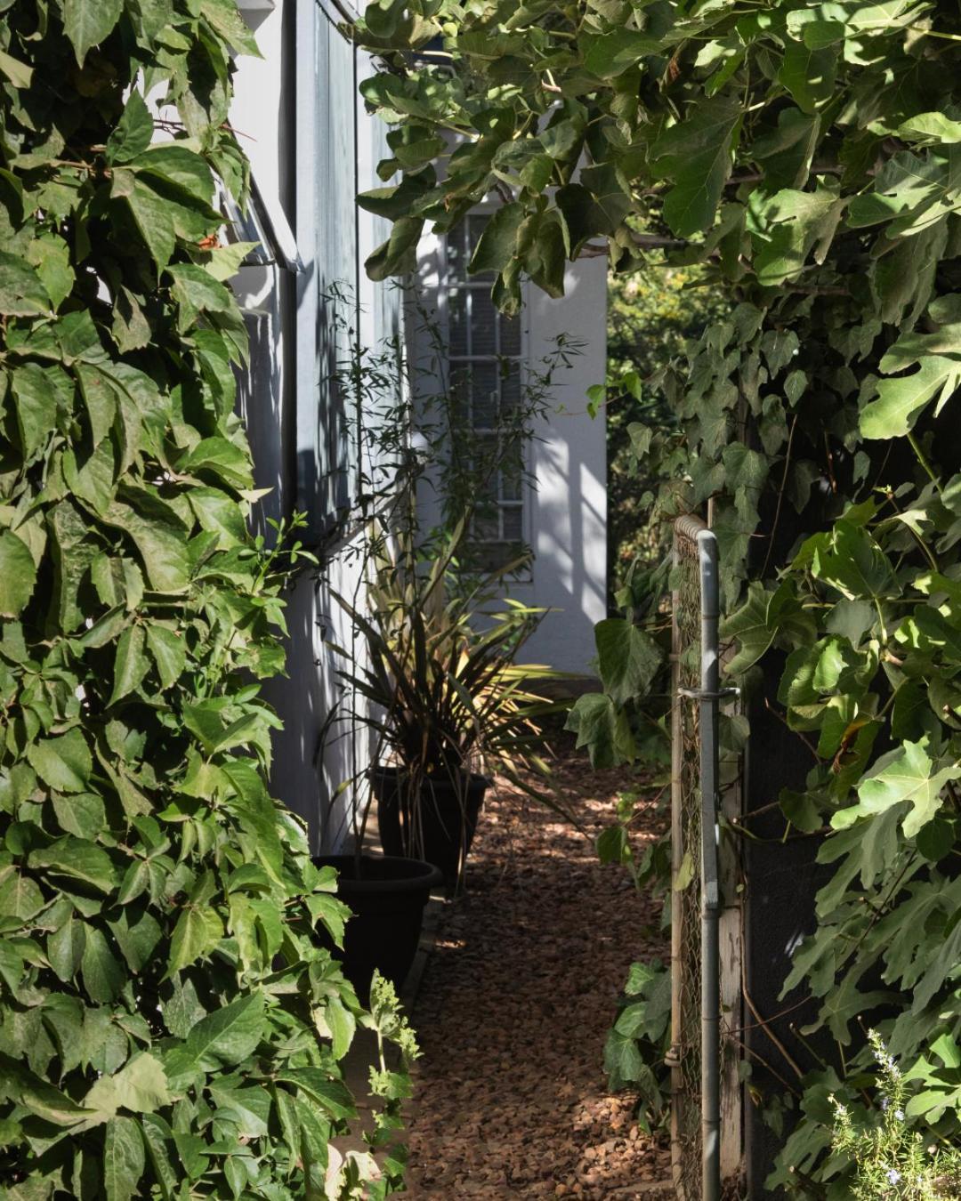 Lavendale On Laing Villa Barrydale Buitenkant foto