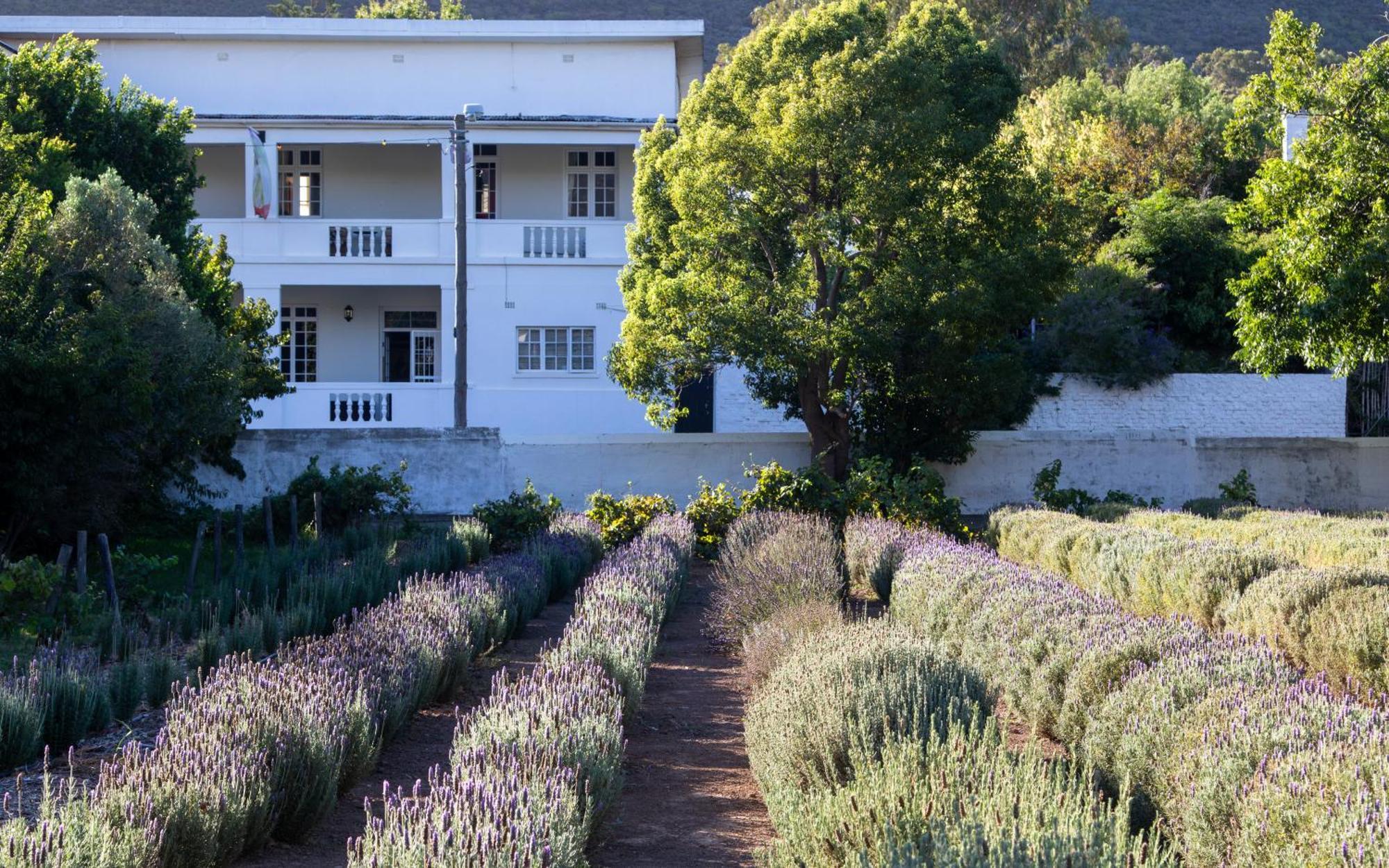 Lavendale On Laing Villa Barrydale Buitenkant foto
